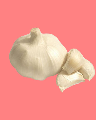 Pure White Garlic