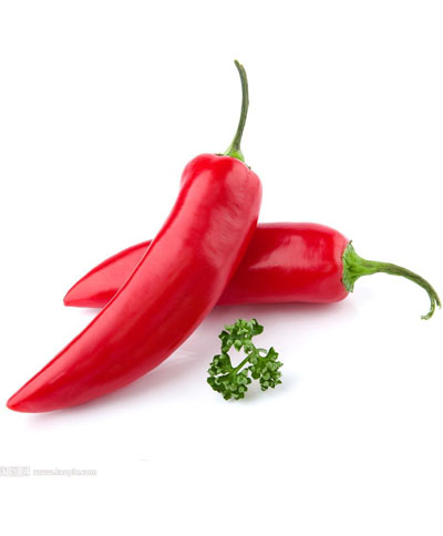 Red Chili