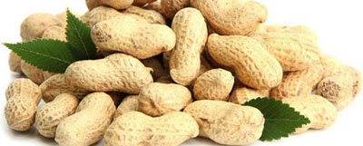 Peanuts