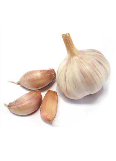 Normal White Garlic